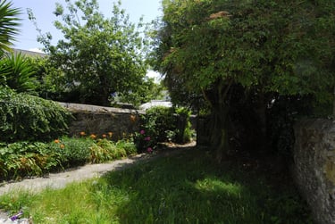 9 bed house, Lipson Road, Lipson, Plymouth, PL48PW - Image 5